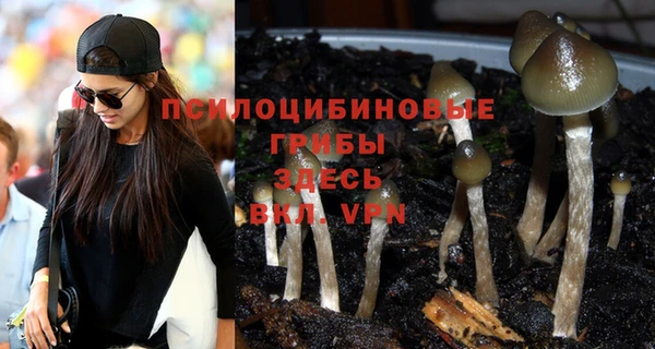 a pvp Зеленодольск
